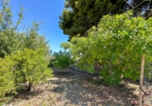 Casa de pueblo en venta en la Las Zorreras, Motril, ref: TR59099 foto