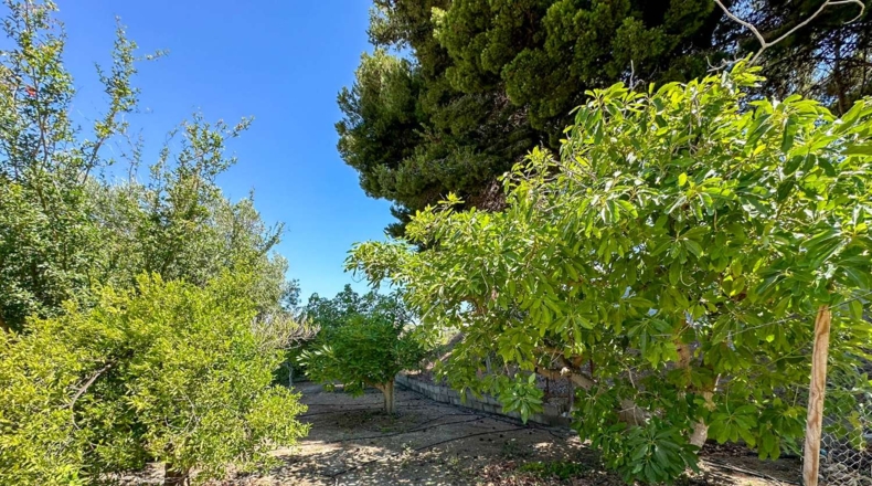 Granada - Motril - 3593m2