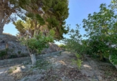 Casa de pueblo en venta en la Las Zorreras, Motril, ref: TR59099 foto