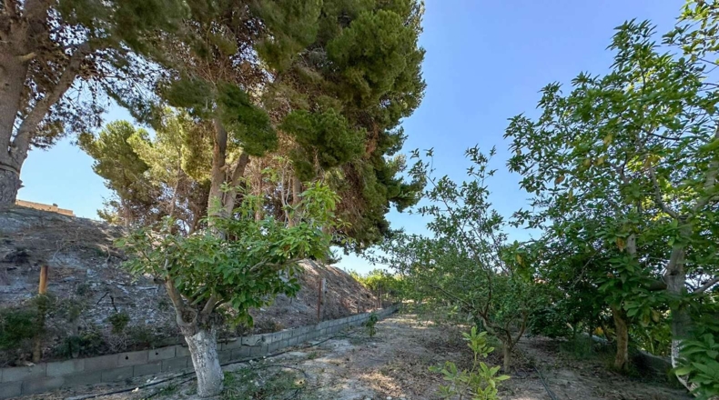Granada - Motril - 3593m2