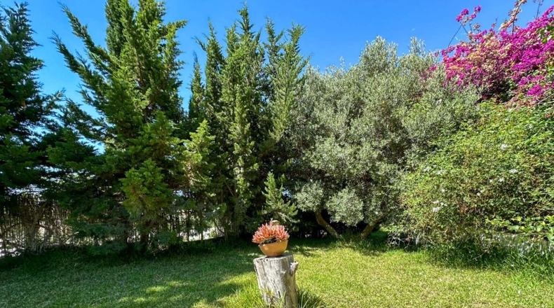 Granada - Motril - 3593m2