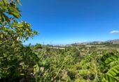 Casa de pueblo en venta en la Las Zorreras, Motril, ref: TR59099 foto
