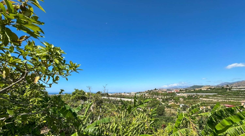 Granada - Motril - 3593m2