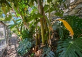 Casa de pueblo en venta en la Las Zorreras, Motril, ref: TR59099 foto