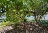 Casa de pueblo en venta en la Las Zorreras, Motril, ref: TR59099 foto