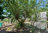 Casa de pueblo en venta en la Las Zorreras, Motril, ref: TR59099 foto