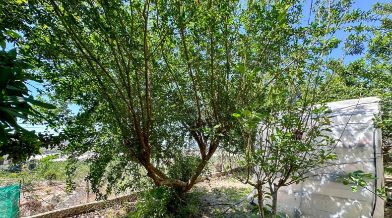Granada - Motril - 3593m2