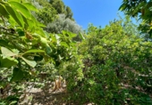 Casa de pueblo en venta en la Las Zorreras, Motril, ref: TR59099 foto