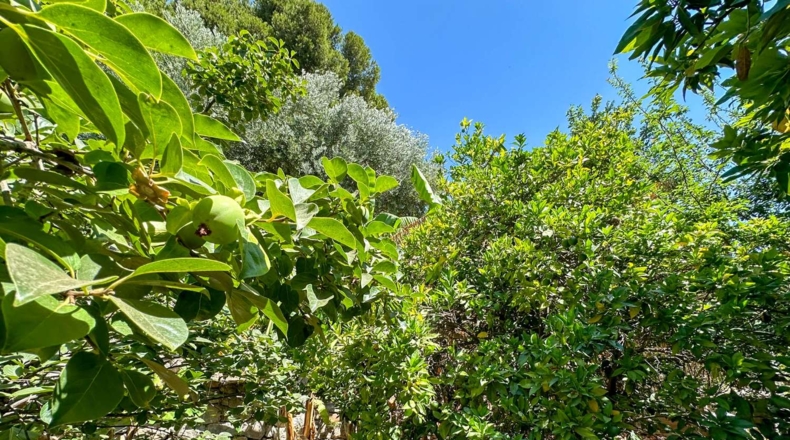 Granada - Motril - 3593m2
