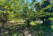 Casa de pueblo en venta en la Las Zorreras, Motril, ref: TR59099 foto