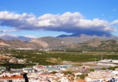 Sòl urbà en venda a Salobreña ref.: TR59092 foto