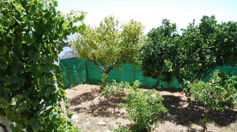 Granada - Salobreña - 5000m2