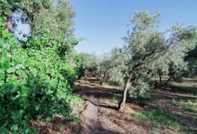 Foto 19