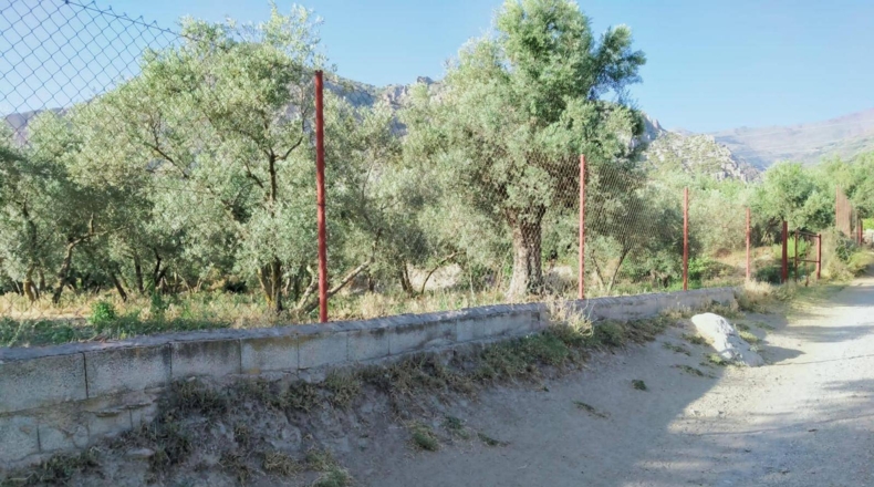 Granada - Nigüelas - 3696m2