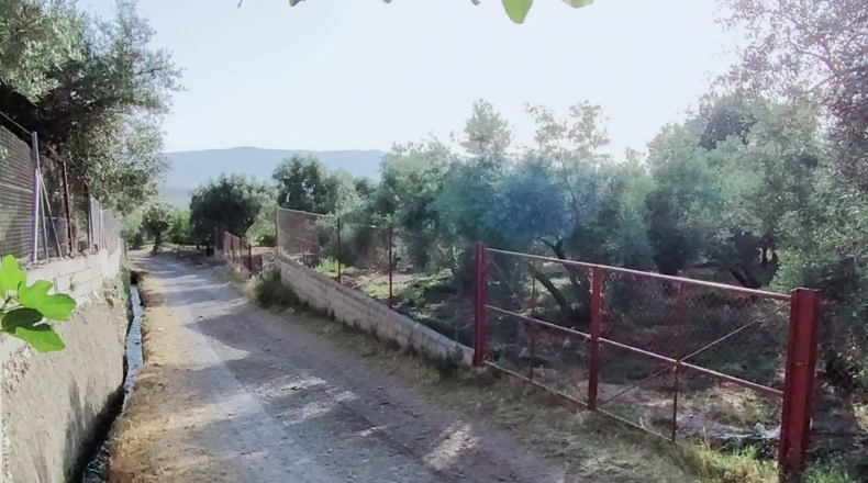 Granada - Nigüelas - 3696m2
