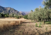Земля на продажу у города Nigüelas. Фото