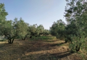 Земля на продажу у города Nigüelas. Фото