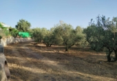 Земля на продажу у города Nigüelas. Фото
