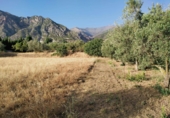 Земля на продажу у города Nigüelas. Фото