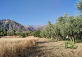 Земля на продажу у города Nigüelas. Фото