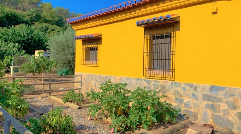 Granada - Salobreña - 3500m2