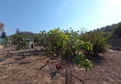 Отдельно стоящий дом с участком на продажу в городе Motril. Фото