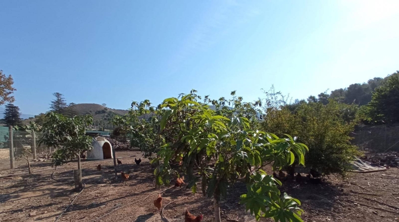 Granada - Salobreña - 3500m2