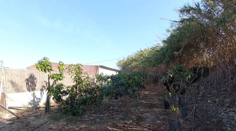 Granada - Salobreña - 3500m2