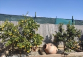 Отдельно стоящий дом с участком на продажу в городе Motril. Фото