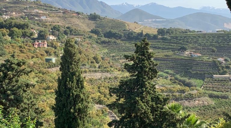 Granada - Salobreña - 800m2