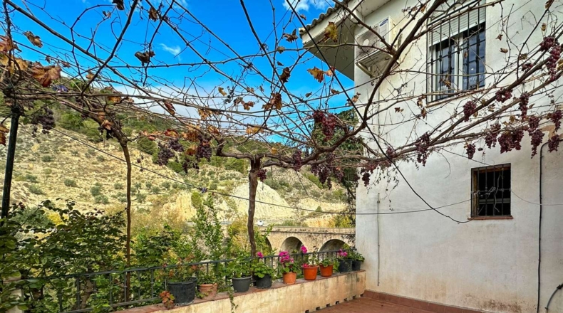 Granada - Vélez de Benaudalla - 4684m2
