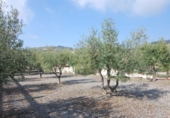 Villa con terreno en venta en la cuesta el Coronel. 18612, Ítrabo, ref: TR231195 foto