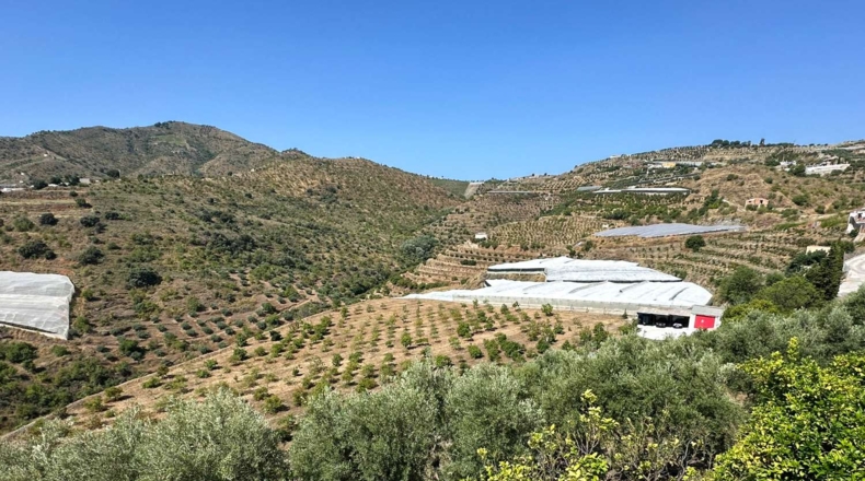 Granada - Ítrabo - 20000m2