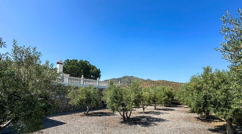 Granada - Ítrabo - 20000m2