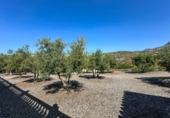 Villa con terreno en venta en la cuesta el Coronel. 18612, Ítrabo, ref: TR231195 foto