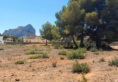 Sòl urbà en venda a Calp ref.: TR109464 foto