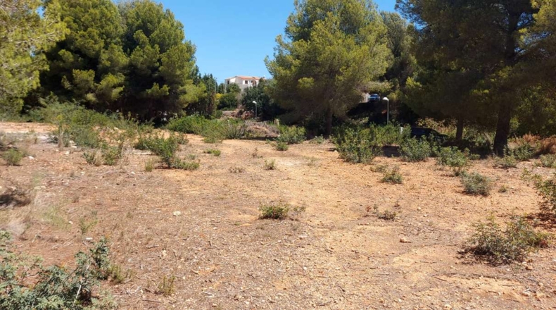 Alicante - Calpe - 849m2