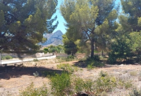 Foto 6