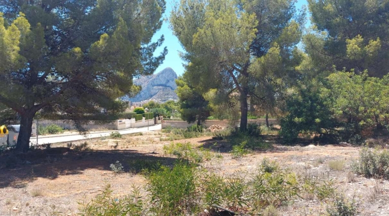 Alicante - Calpe - 849m2