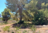 Sòl urbà en venda a Calp ref.: TR109464 foto