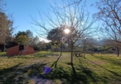 Xalet independent amb terreny en venda a Calp ref.: TR228389 foto