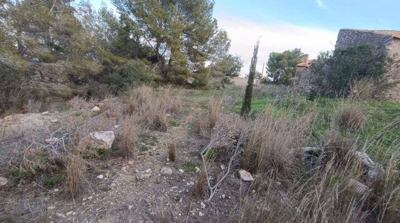 Alicante - Benisa - 1562m2