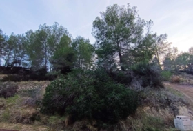 Benissa 1675&nbsp;m² 