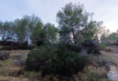 Sòl urbà en venda a Benissa ref.: TR375739 foto