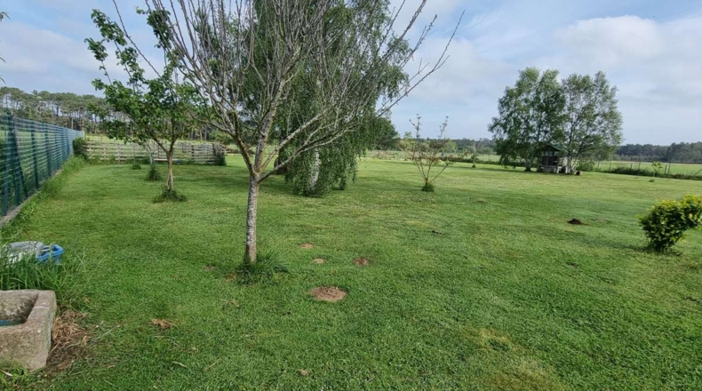 Asturias - Vilasebil - 4500m2