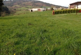 Taborcías 1050&nbsp;м²