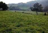 Land suitable for development for sale on Valtravieso. 33791, Taborcías, ref: TR107640 photo