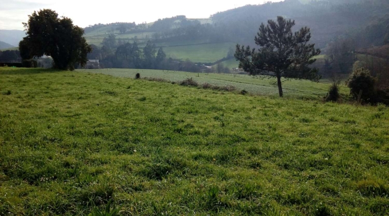 Asturias - Valtravieso - 1050m2
