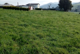 Taborcías 1050&nbsp;м²