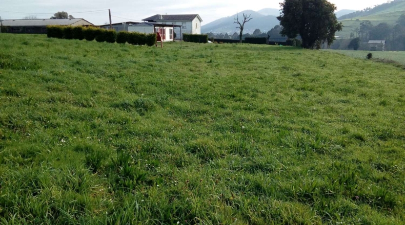 Asturias - Valtravieso - 1050m2